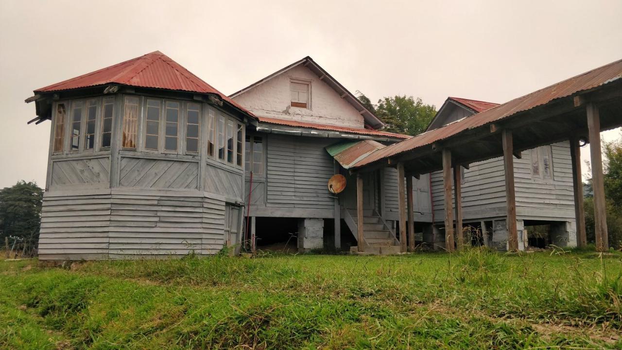 Black Bear Cottage Khajjiar المظهر الخارجي الصورة