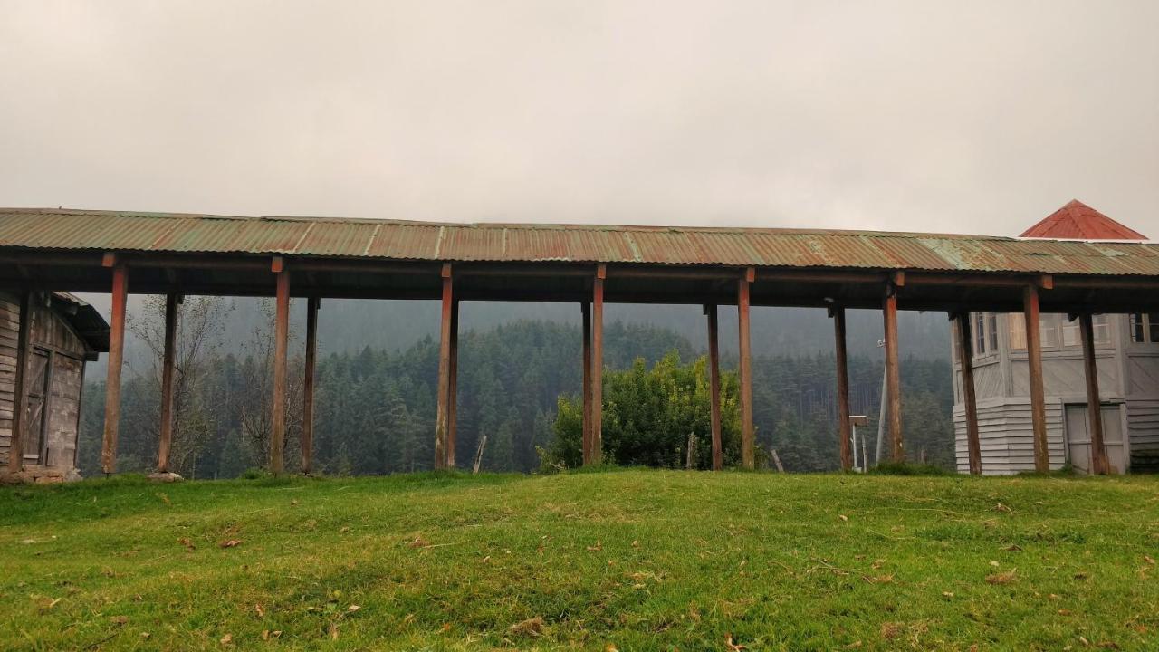 Black Bear Cottage Khajjiar المظهر الخارجي الصورة