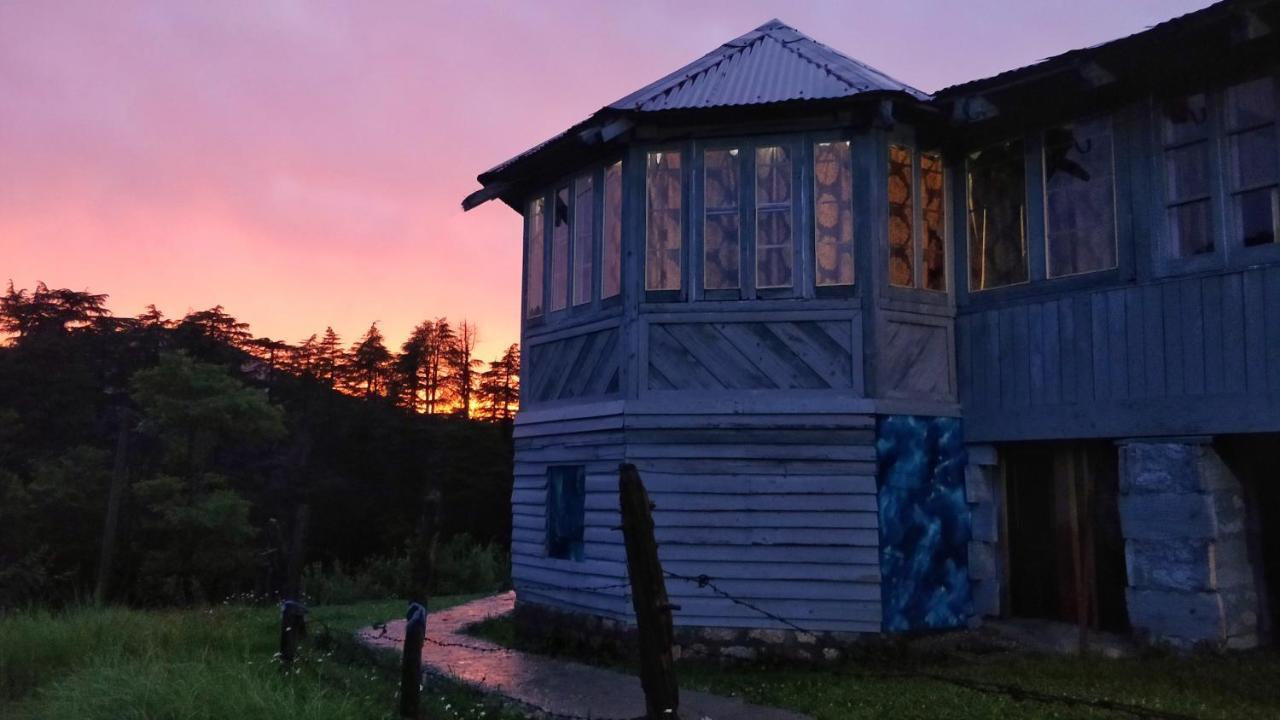 Black Bear Cottage Khajjiar المظهر الخارجي الصورة
