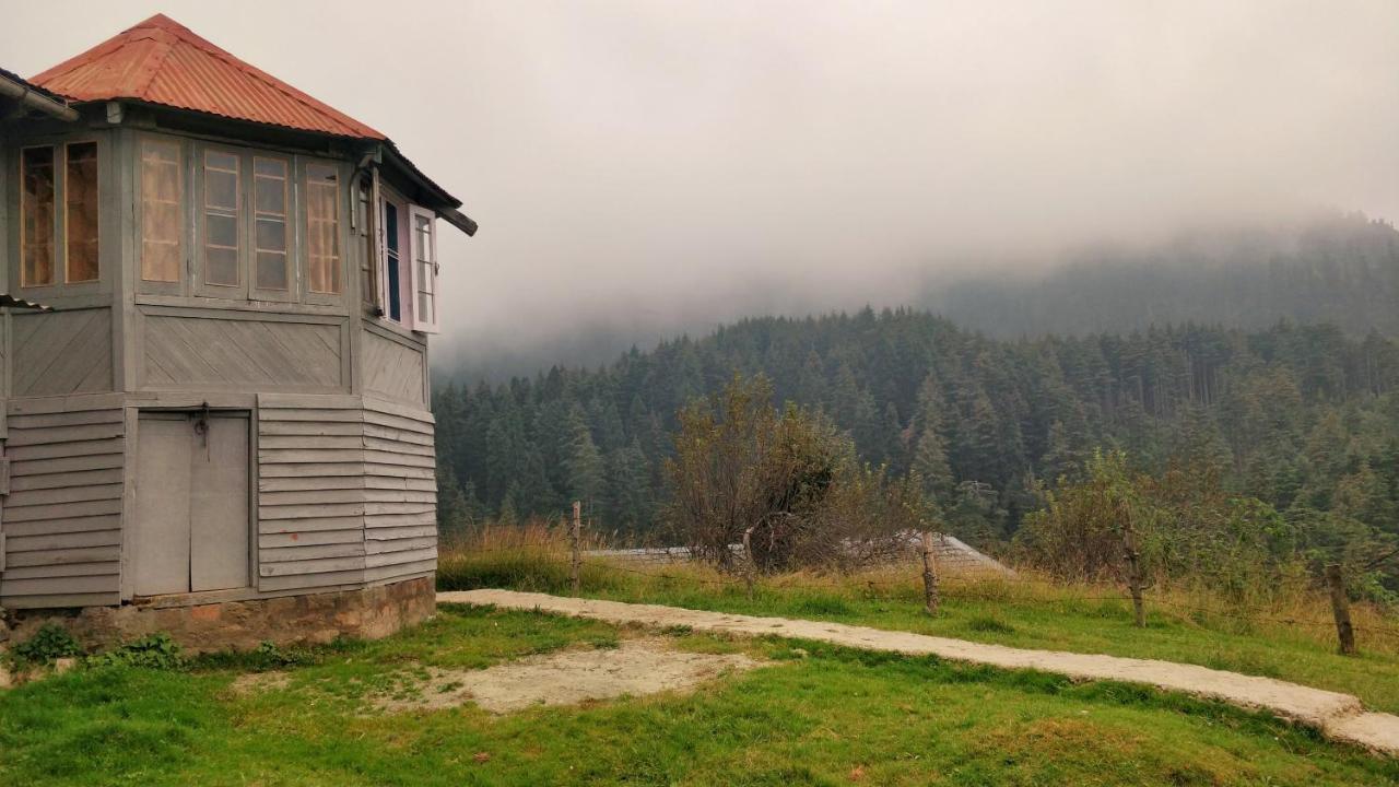 Black Bear Cottage Khajjiar المظهر الخارجي الصورة