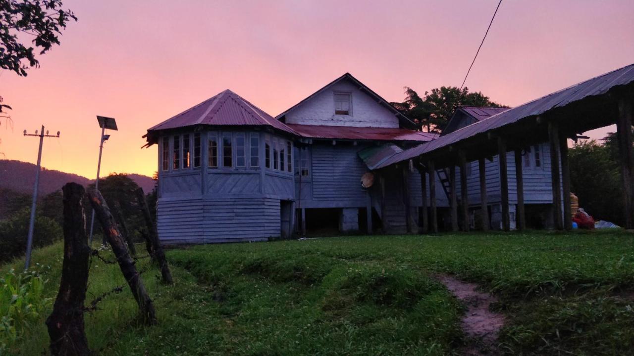 Black Bear Cottage Khajjiar المظهر الخارجي الصورة