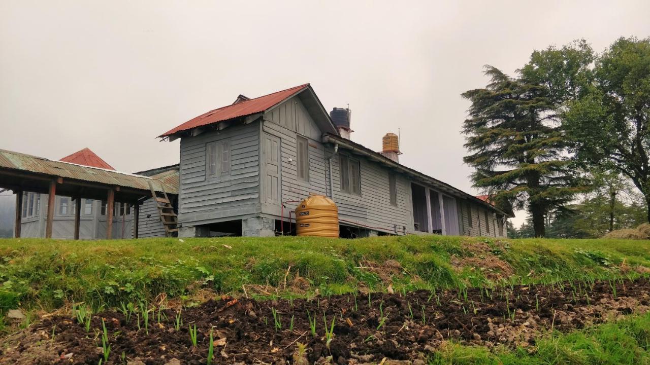 Black Bear Cottage Khajjiar المظهر الخارجي الصورة
