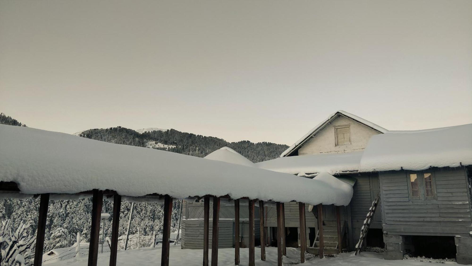 Black Bear Cottage Khajjiar المظهر الخارجي الصورة