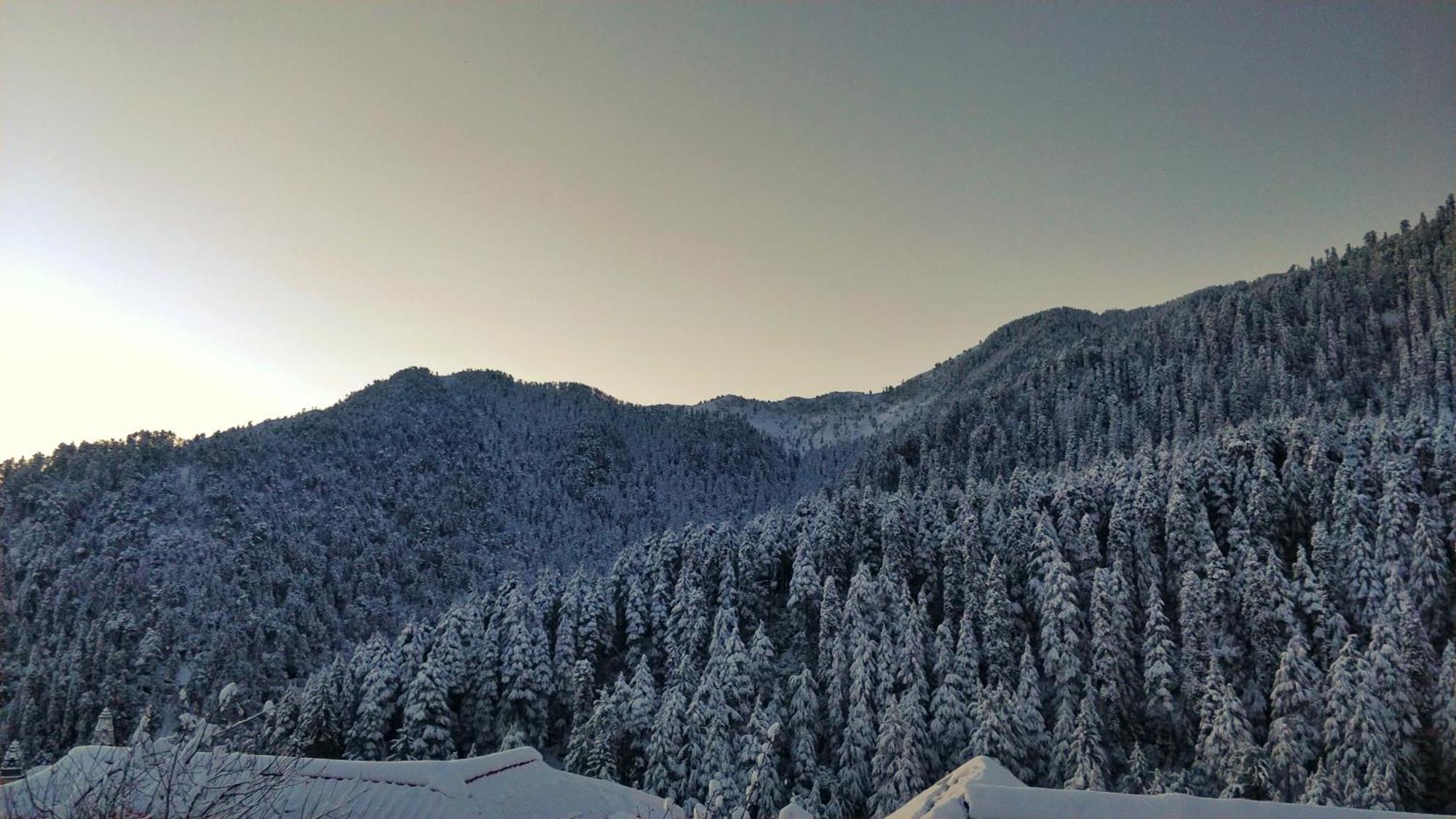Black Bear Cottage Khajjiar المظهر الخارجي الصورة