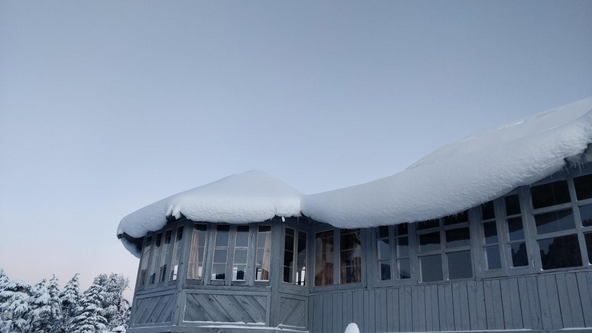 Black Bear Cottage Khajjiar المظهر الخارجي الصورة