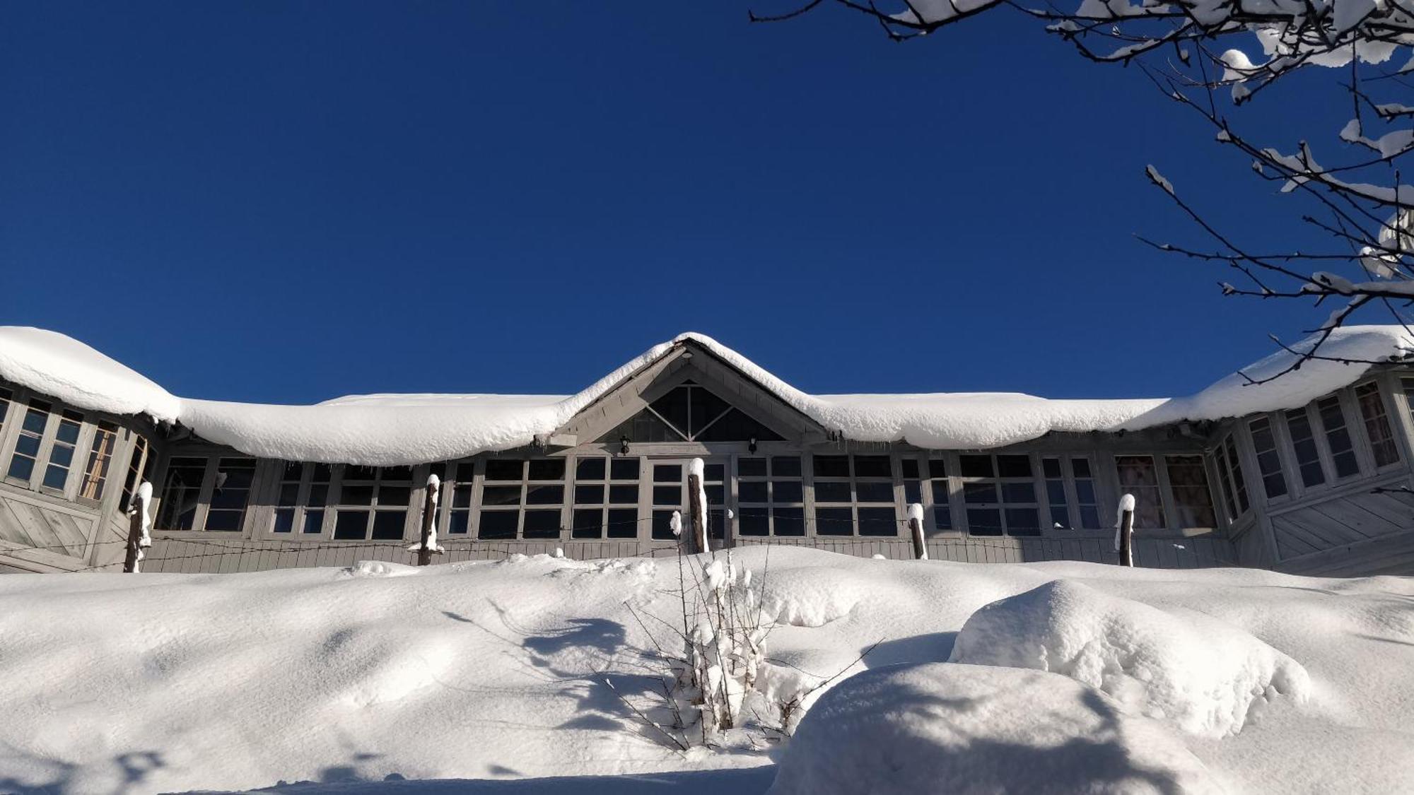Black Bear Cottage Khajjiar المظهر الخارجي الصورة