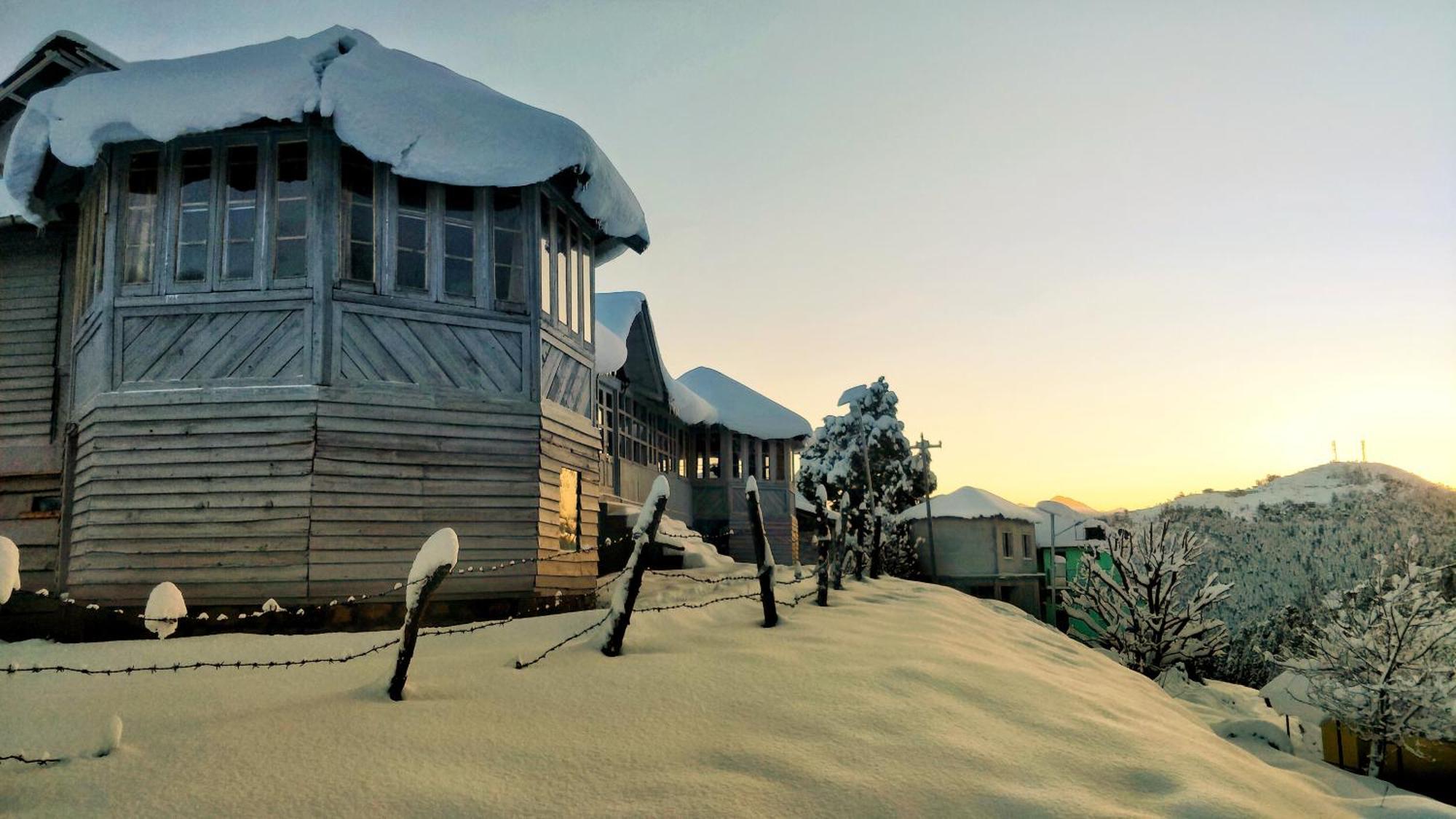 Black Bear Cottage Khajjiar المظهر الخارجي الصورة