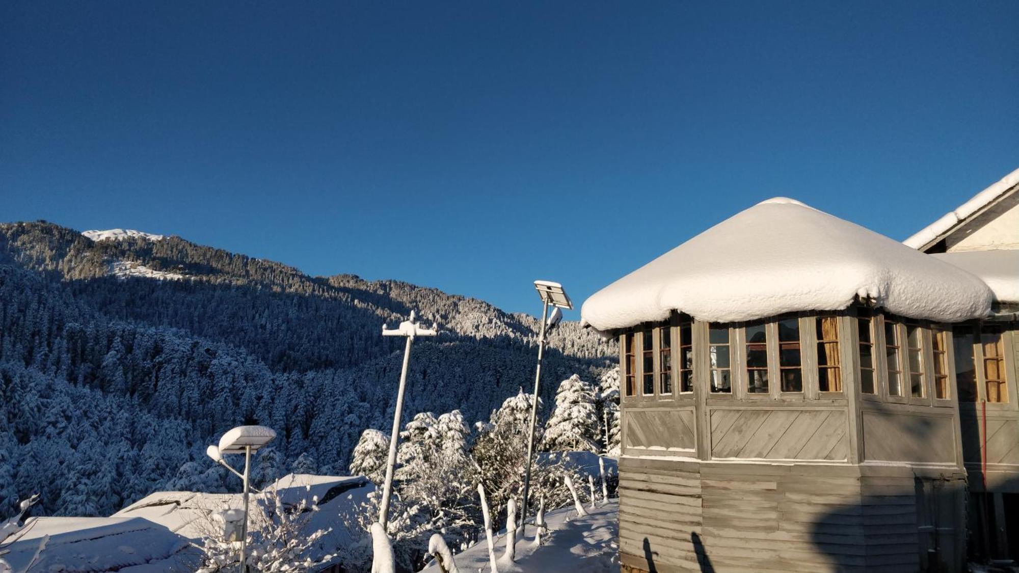Black Bear Cottage Khajjiar المظهر الخارجي الصورة