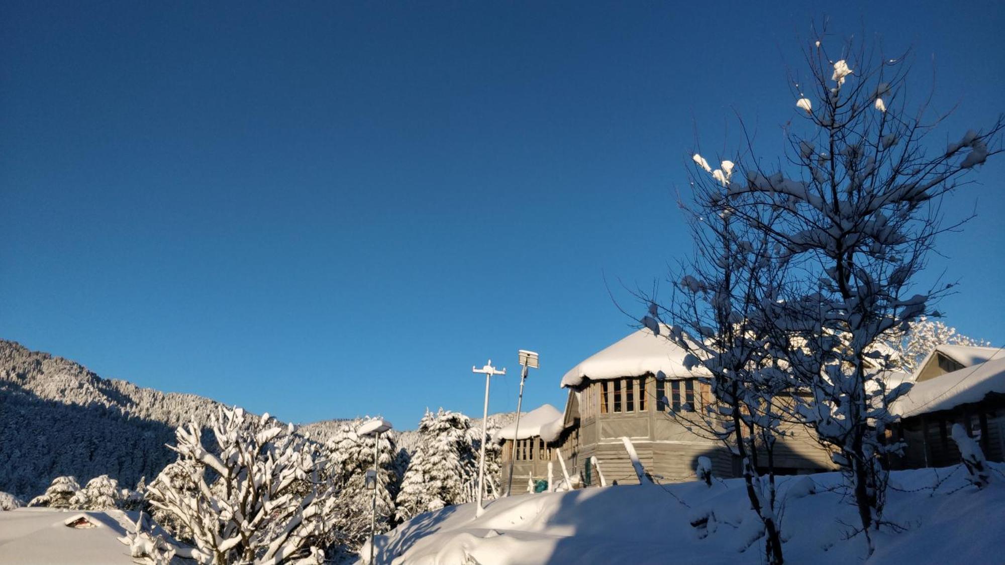 Black Bear Cottage Khajjiar المظهر الخارجي الصورة
