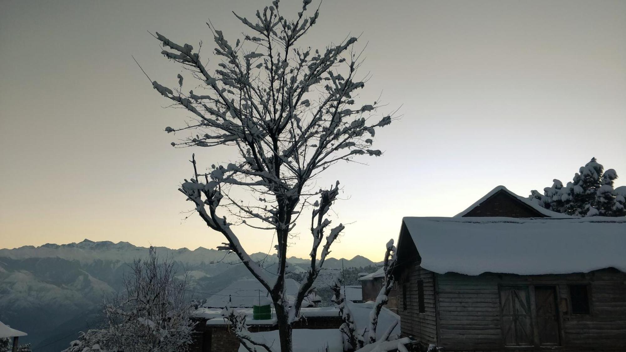 Black Bear Cottage Khajjiar المظهر الخارجي الصورة
