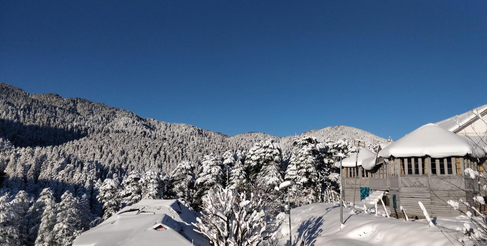 Black Bear Cottage Khajjiar المظهر الخارجي الصورة
