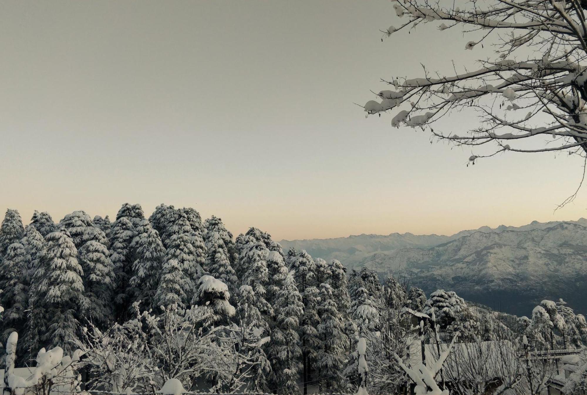 Black Bear Cottage Khajjiar المظهر الخارجي الصورة