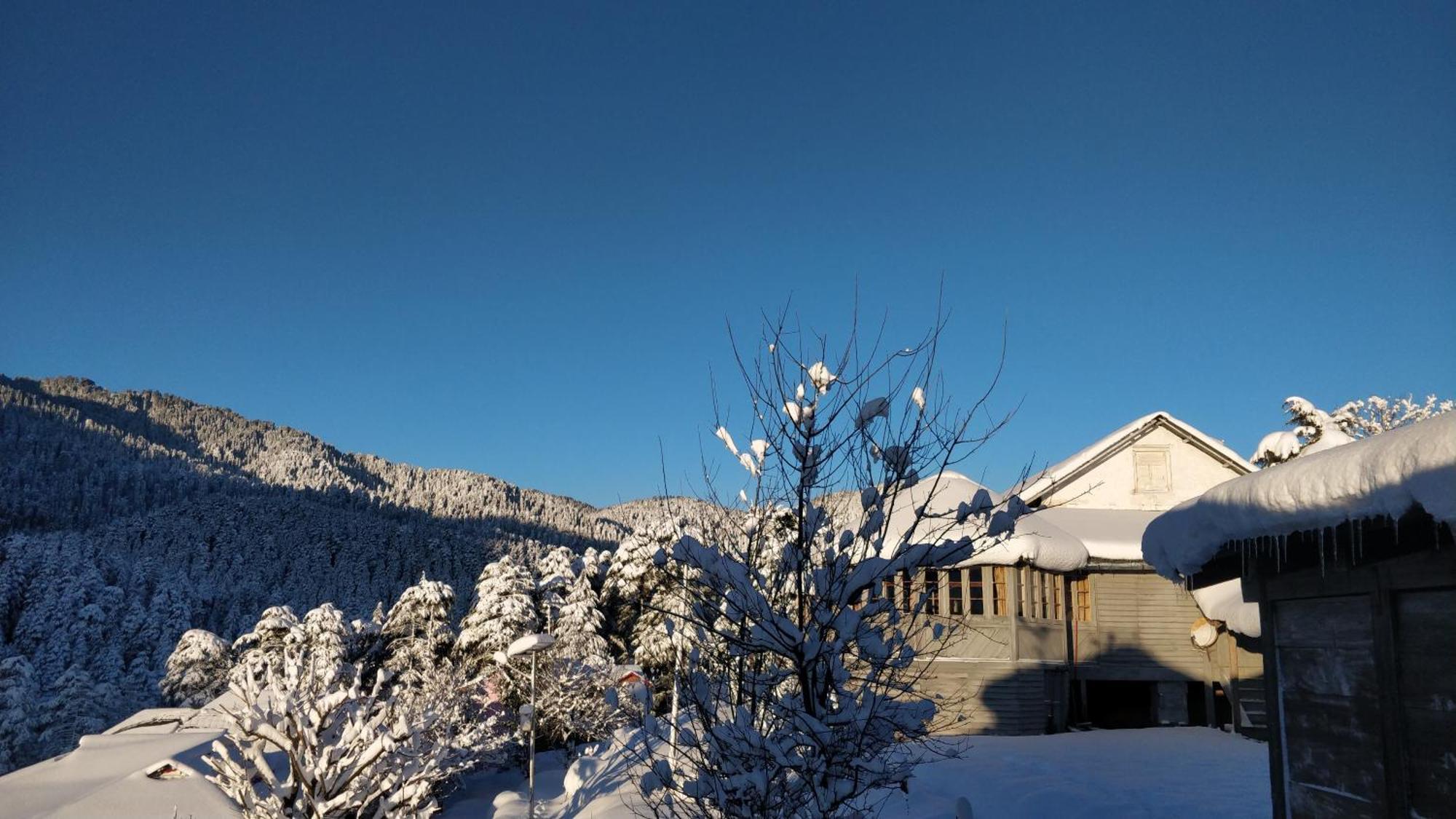 Black Bear Cottage Khajjiar المظهر الخارجي الصورة